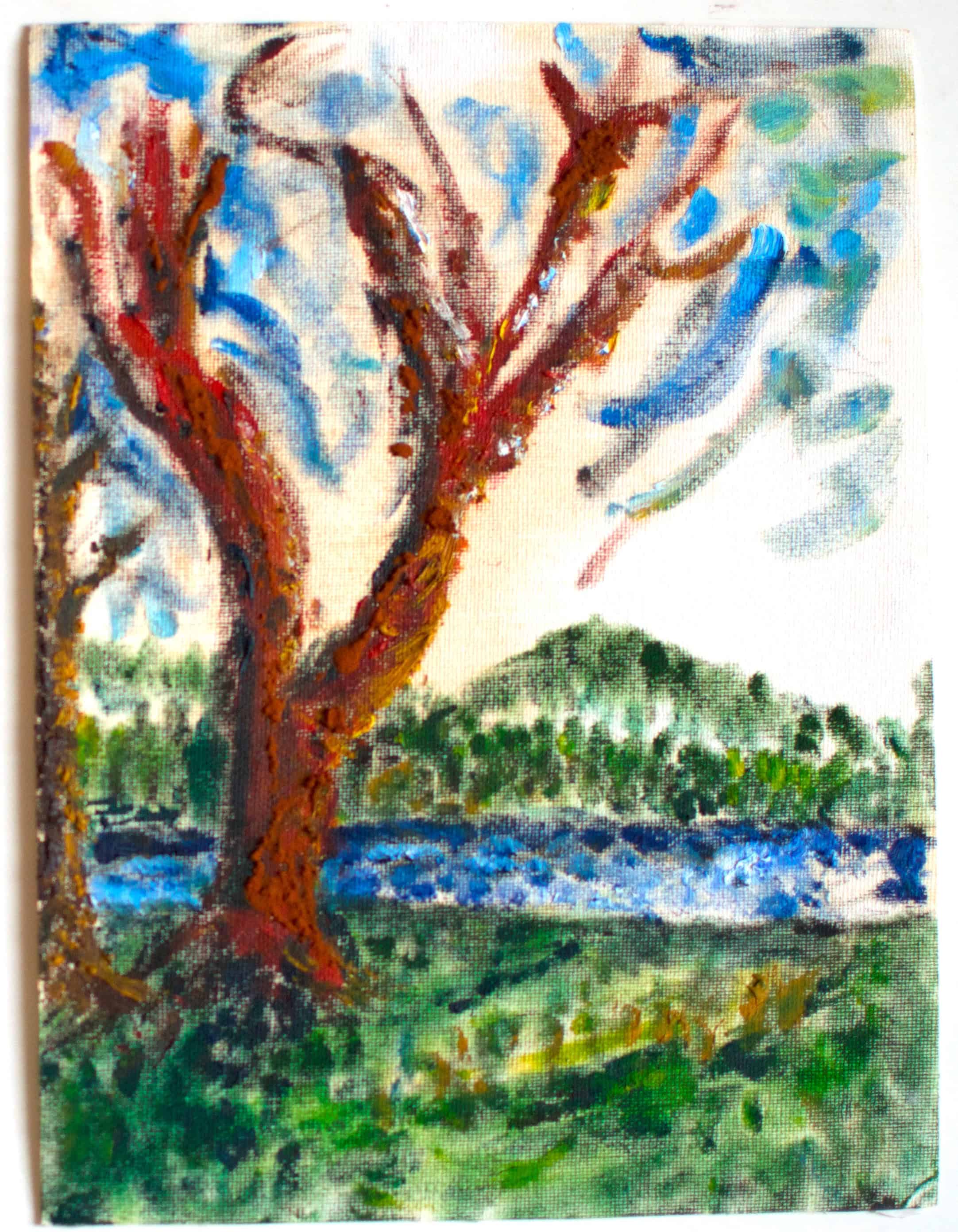 Red Bark – Gravelly Beach #3