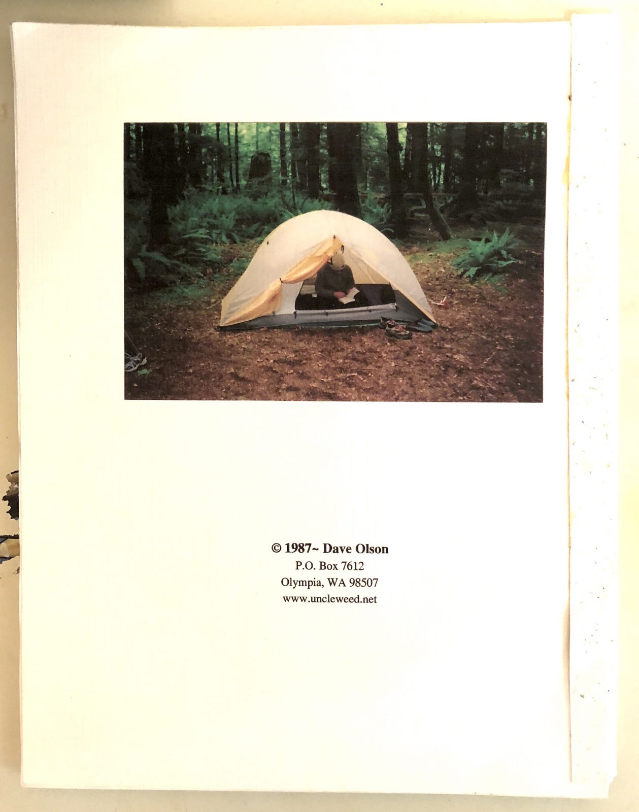 Shoebox, chapbook / backcover